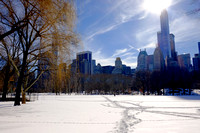 Central Park on Sunday after #Blizzard2016